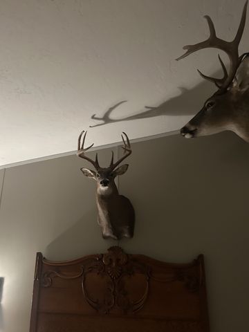 2677 Pigg Schoolhouse Rd, Santa Fe, TN 38482