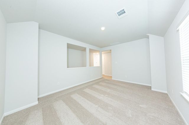 13312 Burbot Drive, Conroe, TX 77384