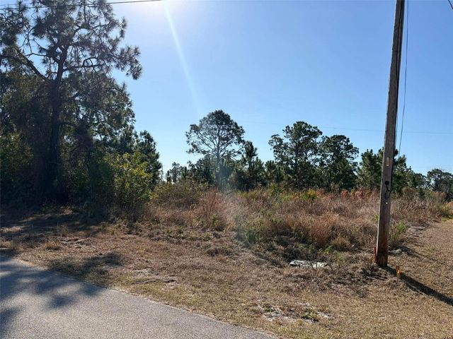 1036 PILGRIM STREET E, Lehigh Acres, FL 33974