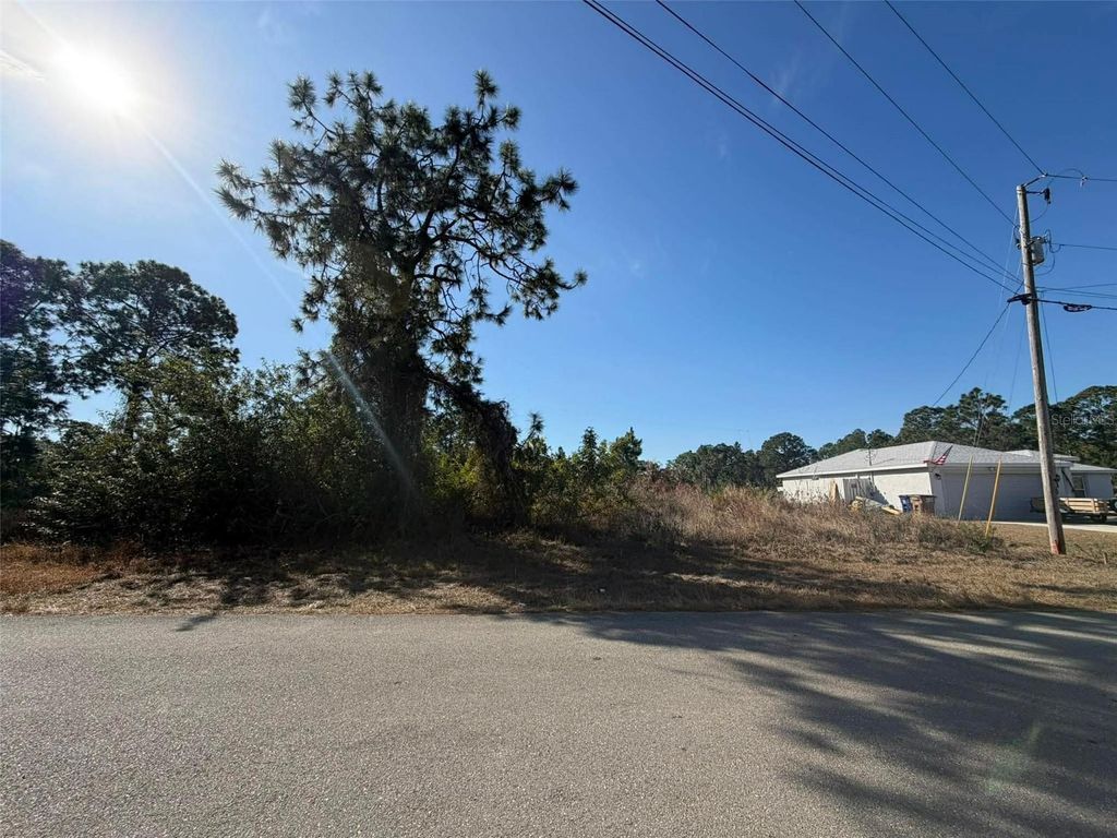 1036 PILGRIM STREET E, Lehigh Acres, FL 33974