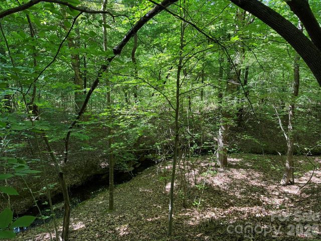 382 Alexis High Shoals Road, Dallas, NC 28034