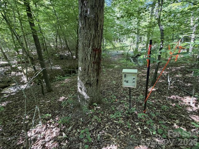 382 Alexis High Shoals Road, Dallas, NC 28034