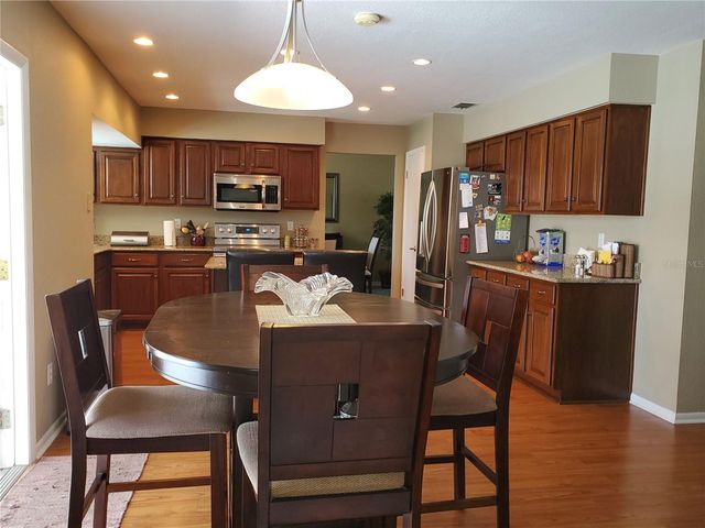 4029 BELL GRANDE DRIVE, Valrico, FL 33596