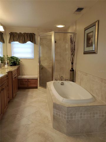 4029 BELL GRANDE DRIVE, Valrico, FL 33596
