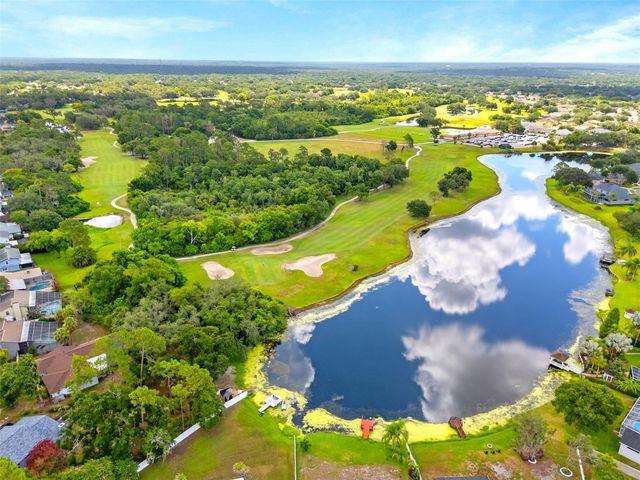 4029 BELL GRANDE DRIVE, Valrico, FL 33596