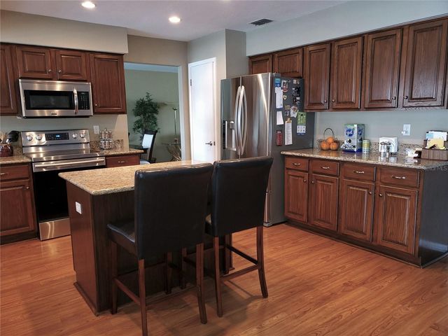 4029 BELL GRANDE DRIVE, Valrico, FL 33596