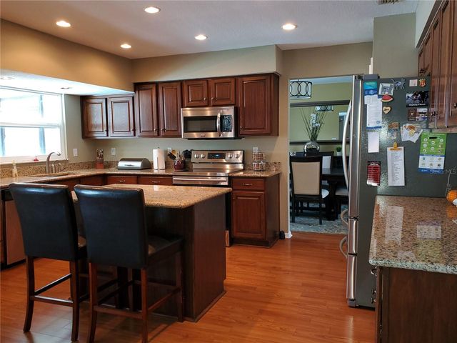 4029 BELL GRANDE DRIVE, Valrico, FL 33596