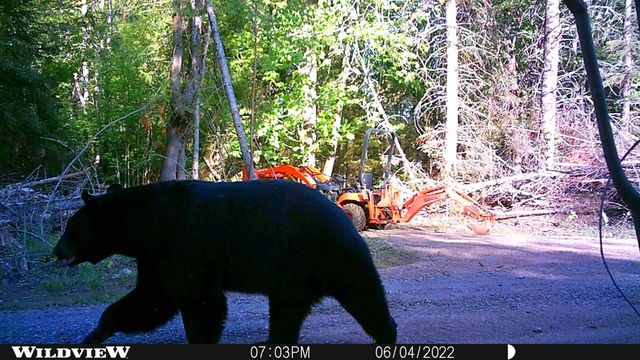 76557 DERINGER ROAD, Glidden, WI 54527