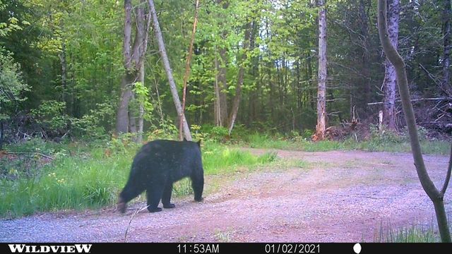 76557 DERINGER ROAD, Glidden, WI 54527