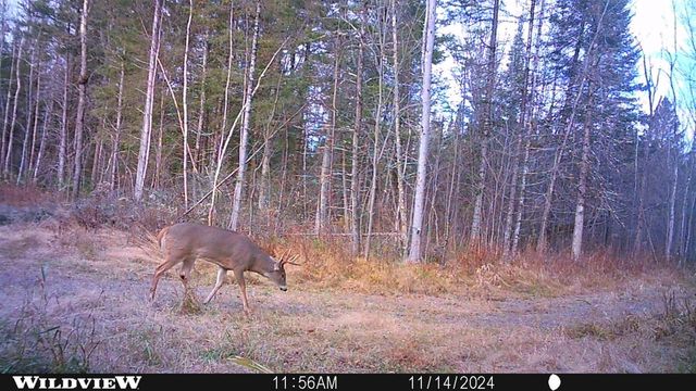 76557 DERINGER ROAD, Glidden, WI 54527