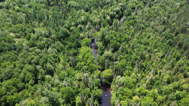 76557 DERINGER ROAD, Glidden, WI 54527