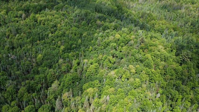 76557 DERINGER ROAD, Glidden, WI 54527