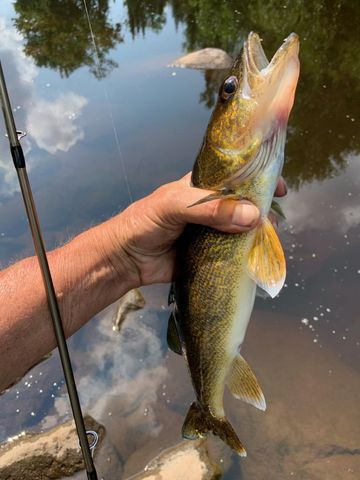 76557 DERINGER ROAD, Glidden, WI 54527