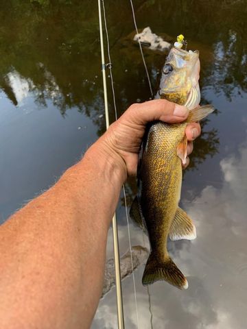 76557 DERINGER ROAD, Glidden, WI 54527