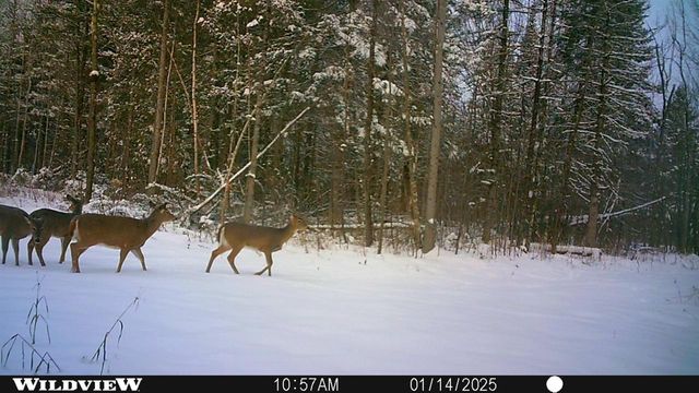 76557 DERINGER ROAD, Glidden, WI 54527