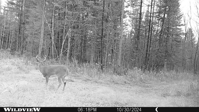 76557 DERINGER ROAD, Glidden, WI 54527