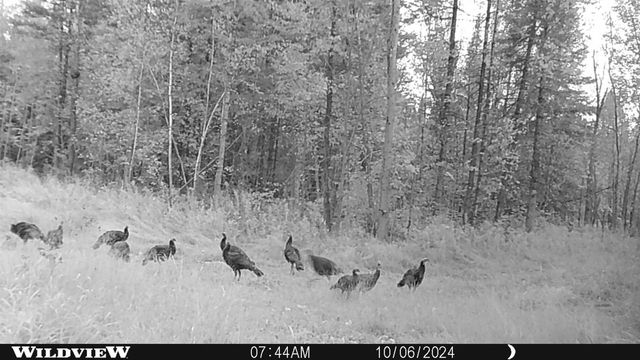 76557 DERINGER ROAD, Glidden, WI 54527