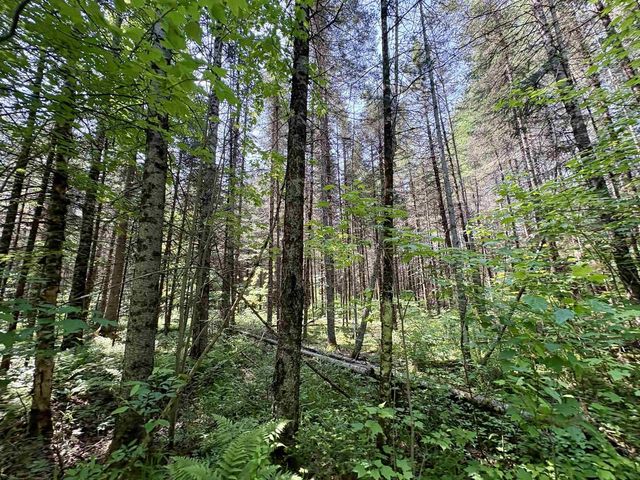 76557 DERINGER ROAD, Glidden, WI 54527