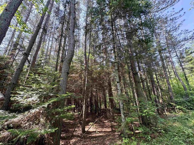 76557 DERINGER ROAD, Glidden, WI 54527