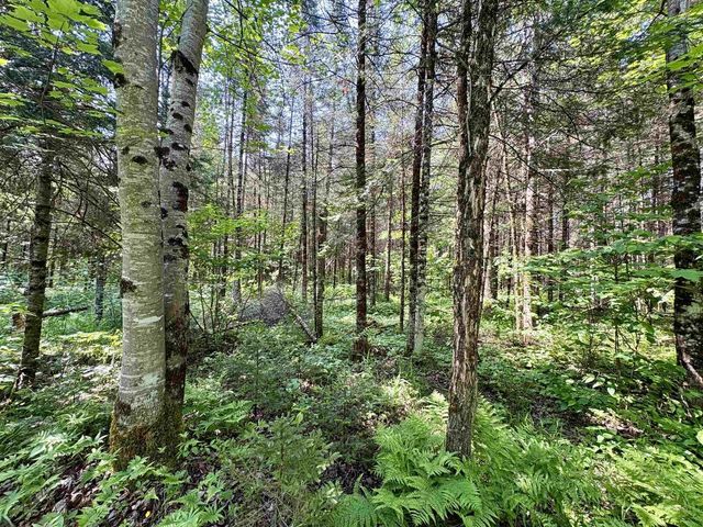 76557 DERINGER ROAD, Glidden, WI 54527