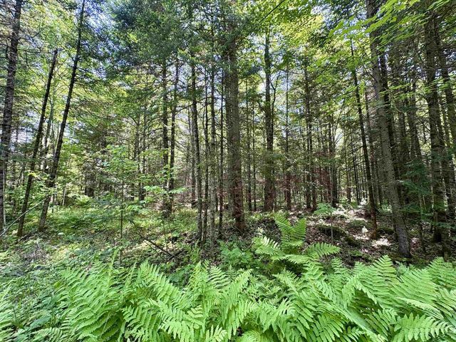 76557 DERINGER ROAD, Glidden, WI 54527