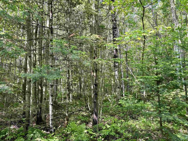 76557 DERINGER ROAD, Glidden, WI 54527