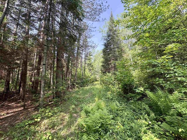 76557 DERINGER ROAD, Glidden, WI 54527