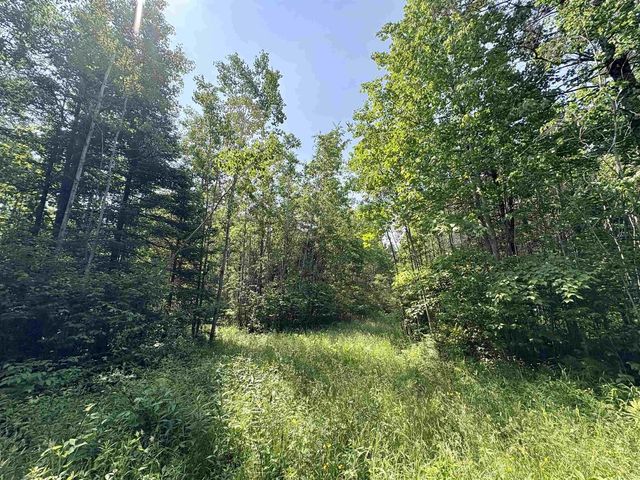 76557 DERINGER ROAD, Glidden, WI 54527
