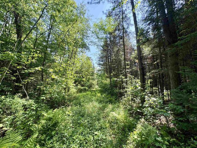 76557 DERINGER ROAD, Glidden, WI 54527