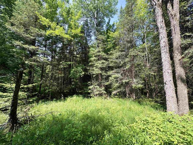 76557 DERINGER ROAD, Glidden, WI 54527