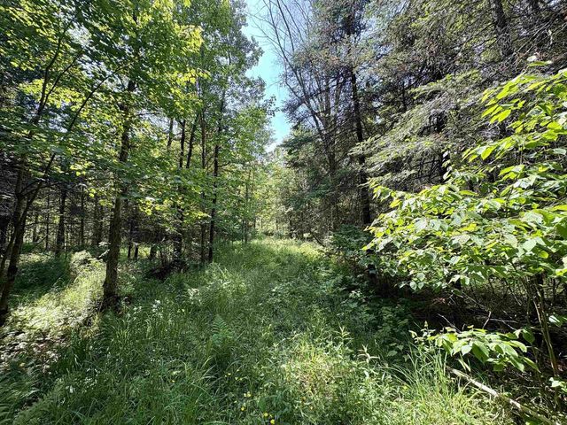 76557 DERINGER ROAD, Glidden, WI 54527