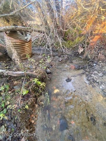 Lot 21 Shelby Kay, Homer, AK 99603