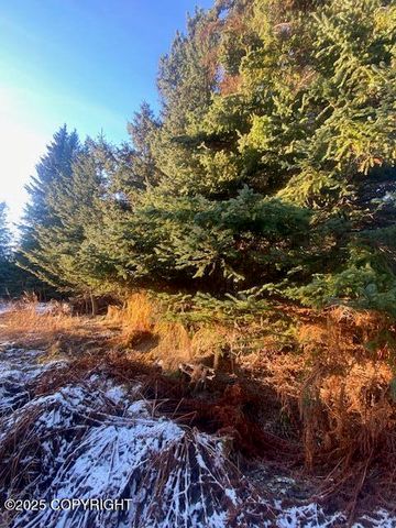 Lot 21 Shelby Kay, Homer, AK 99603
