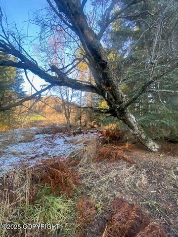 Lot 21 Shelby Kay, Homer, AK 99603