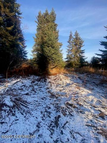 Lot 21 Shelby Kay, Homer, AK 99603
