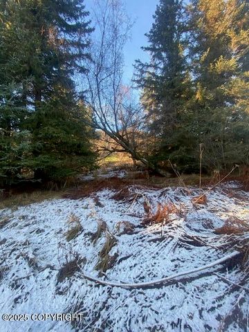 Lot 21 Shelby Kay, Homer, AK 99603
