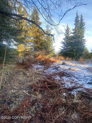 Lot 21 Shelby Kay, Homer, AK 99603