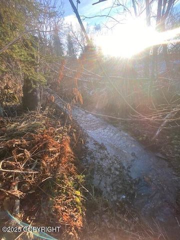 Lot 21 Shelby Kay, Homer, AK 99603