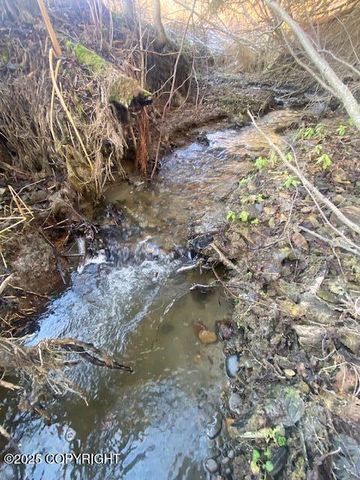 Lot 21 Shelby Kay, Homer, AK 99603