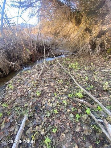 Lot 21 Shelby Kay, Homer, AK 99603