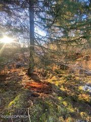 Lot 21 Shelby Kay, Homer, AK 99603