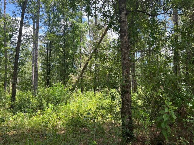 Tom Bruce Rd, Longville, LA 70652