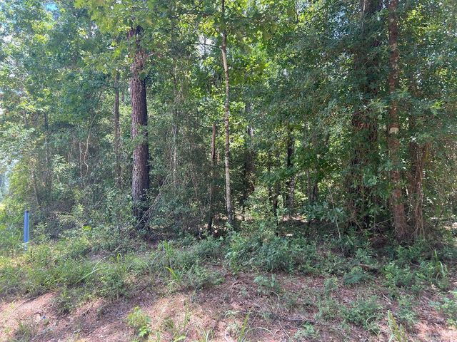 Tom Bruce Rd, Longville, LA 70652
