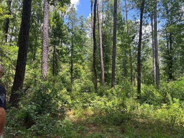 Tom Bruce Rd, Longville, LA 70652