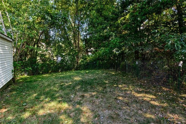 718 E Laclede Avenue, Youngstown, OH 44502