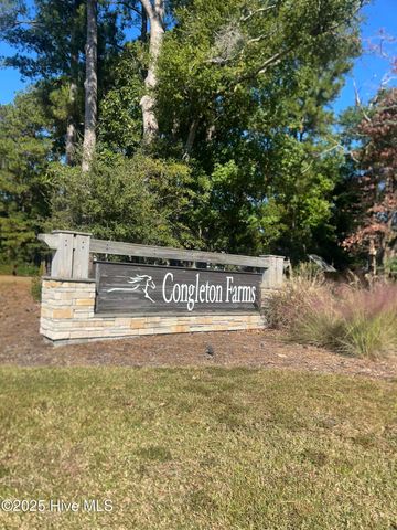 1355 Big Cypress Loop, Wilmington, NC 28409