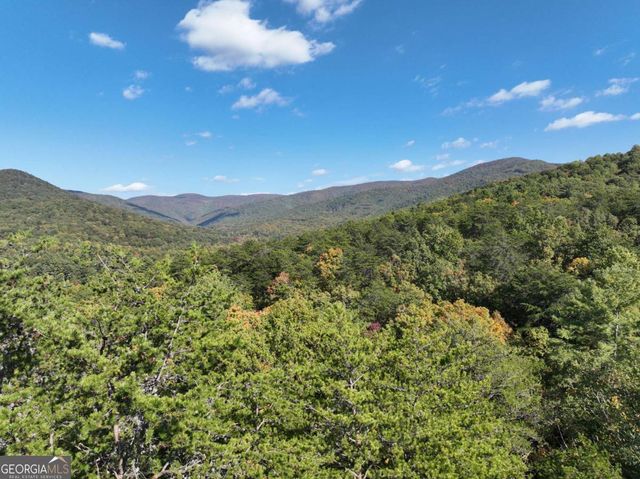 3A Turniptown Road, Ellijay, GA 30536