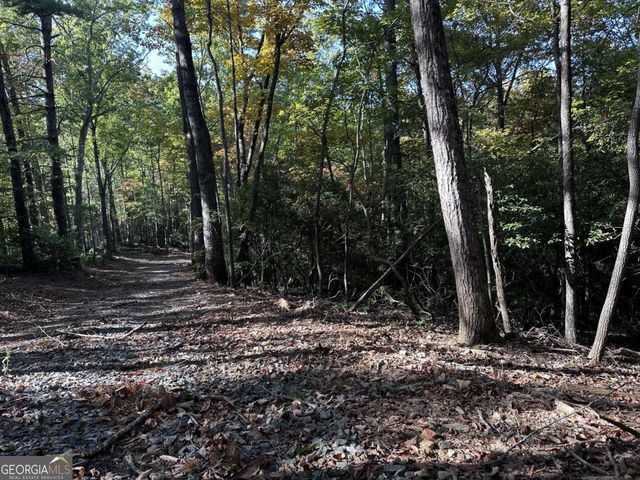 3A Turniptown Road, Ellijay, GA 30536