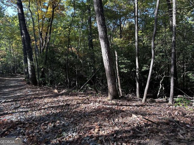 3A Turniptown Road, Ellijay, GA 30536