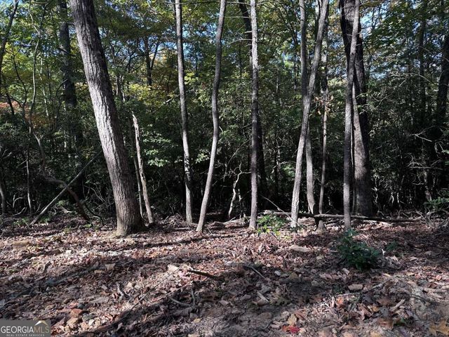3A Turniptown Road, Ellijay, GA 30536